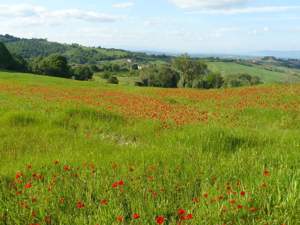 Il Palazzo Dei Diavoli Villa Montepulciano Stazione Kültér fotó